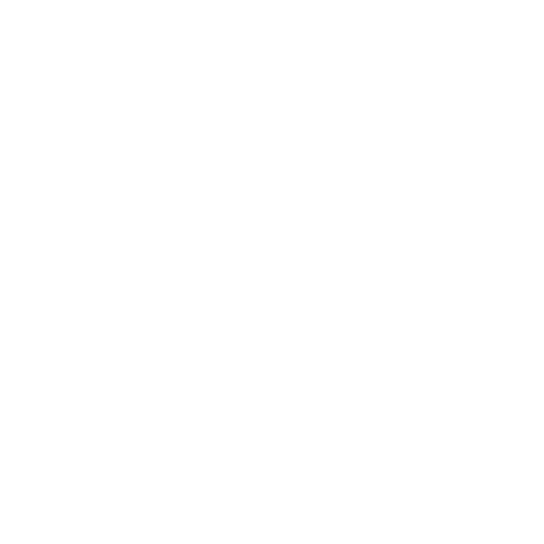 Logo Zero Trust Cherokee